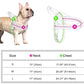 PrintPup No Pull Frenchie Harness with Unique Print Patterns