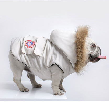 Ropa de invierno de moda para Bulldog Francés (WS390)