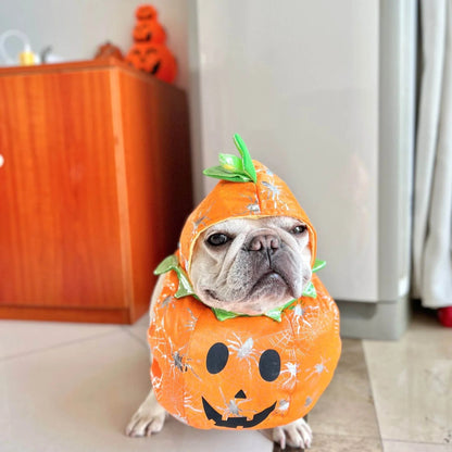 pumpkin costume for dogs