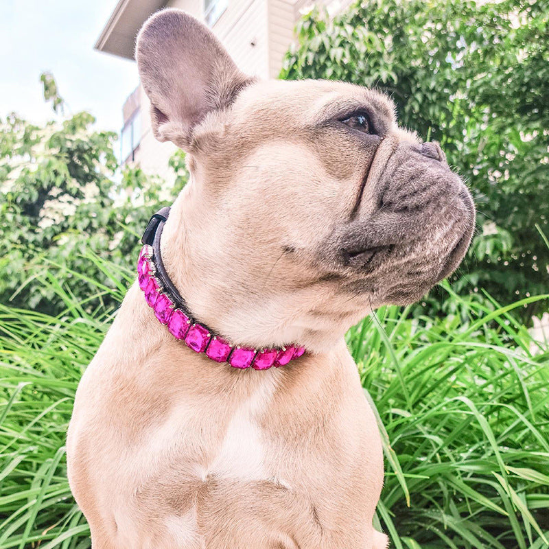 DiamondPaws-Luxury-Frenchie-Collar-Rhinestone-Necklace-for-Your-Posh-Pup-www.frenchie.shop