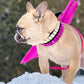 DiamondPaws-Luxury-Frenchie-Collar-Rhinestone-Necklace-for-Your-Posh-Pup-www.frenchie.shop