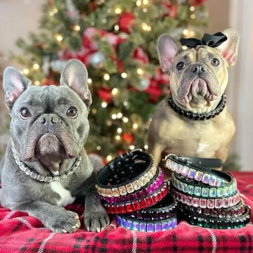 DiamondPaws Luxury Frenchie Collar Rhinestone Necklace for Your Posh Pup