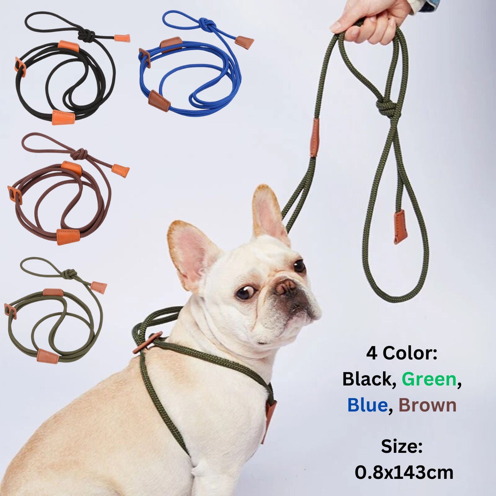 rope collar and leash