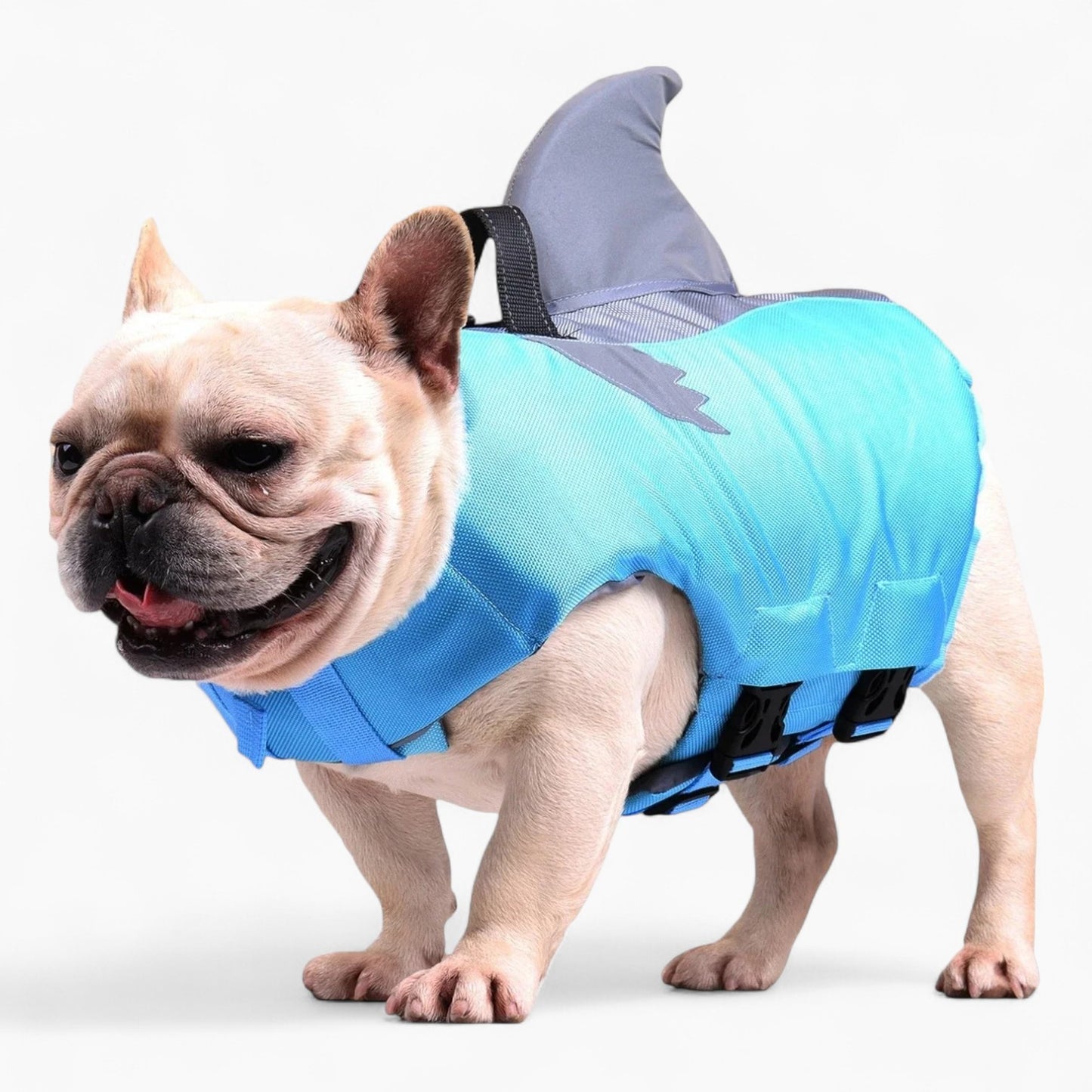 Frenchie Shark Life Vest Summer Reflective Swimwear