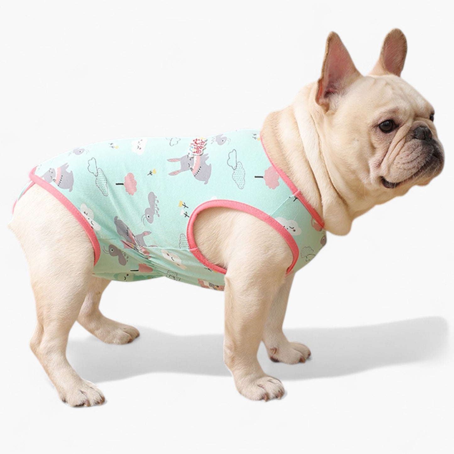 PawJoy French Bulldog Physiological Pants – Cute Comfy Cotton Pants
