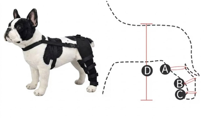OrthoPaw Frenchie Back Leg Support Brace – Adjustable Knee Pads Hip Stabilizer