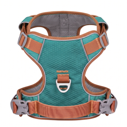 PupBright No Pull Frenchie Reflective Harness