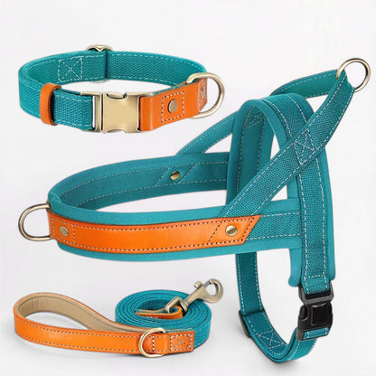 Ensemble harnais et laisse anti-traction pour bouledogue français (WS0223)