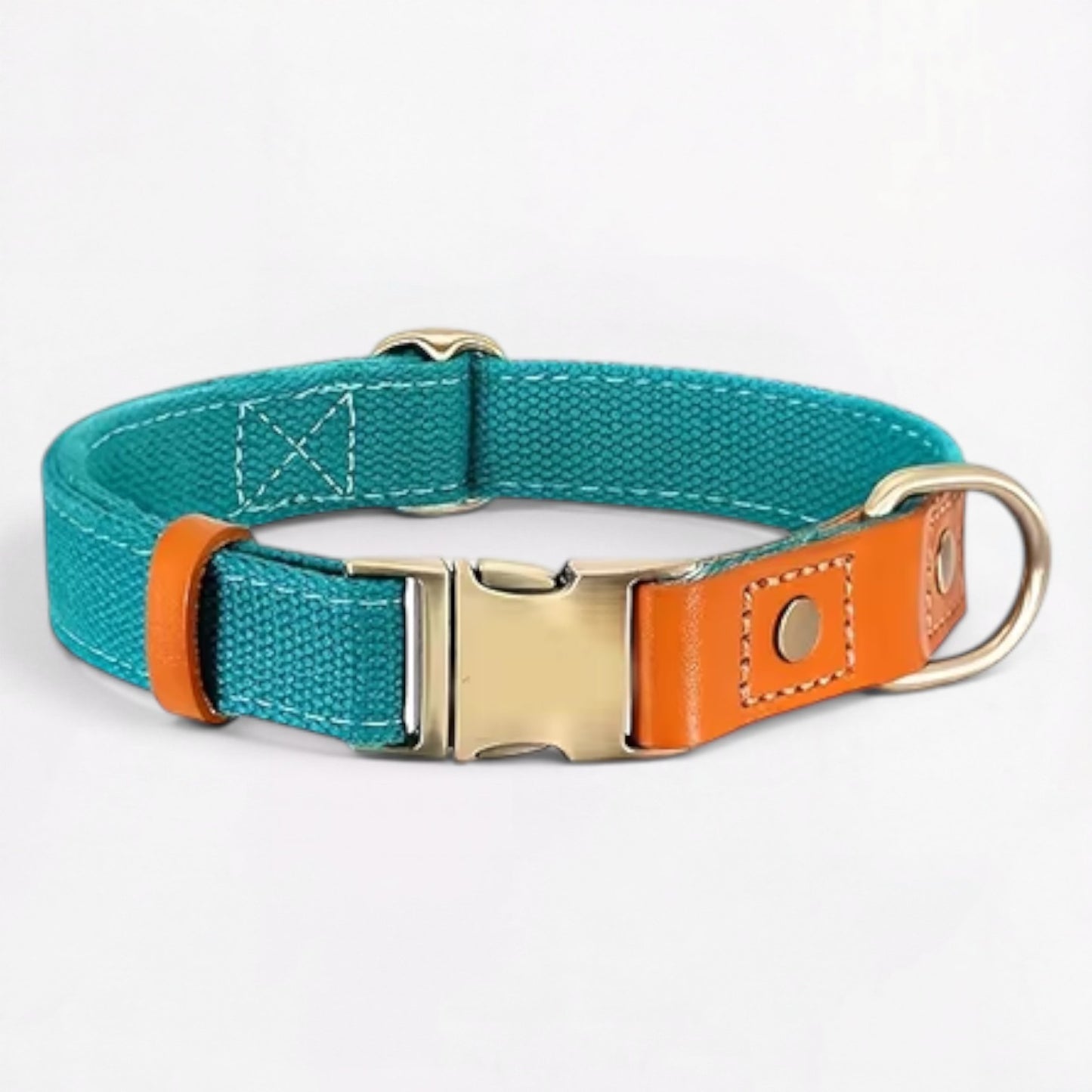 Ensemble harnais et laisse anti-traction pour bouledogue français (WS0223)