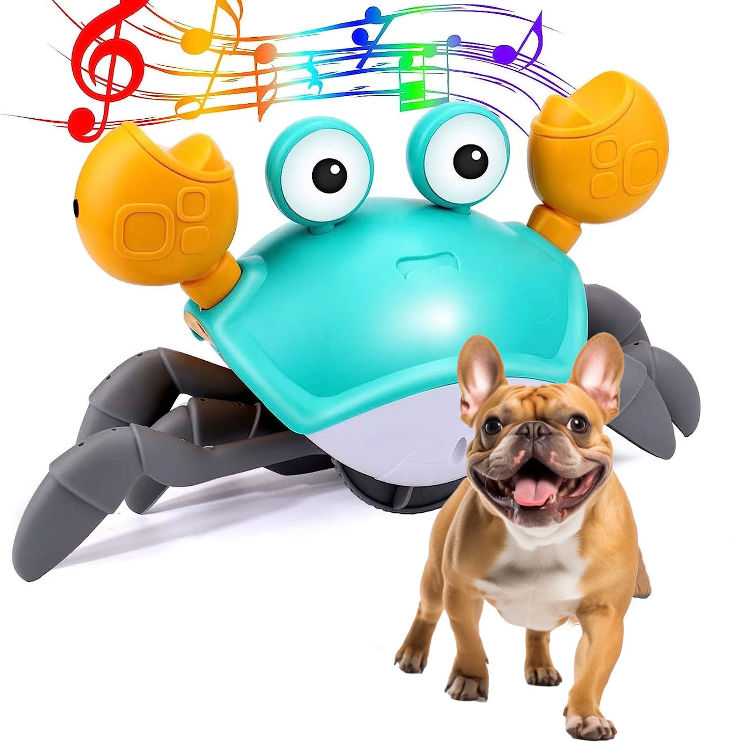 CrabToy™ - Frenchie interactive Toy - Frenchie Bulldog Shop