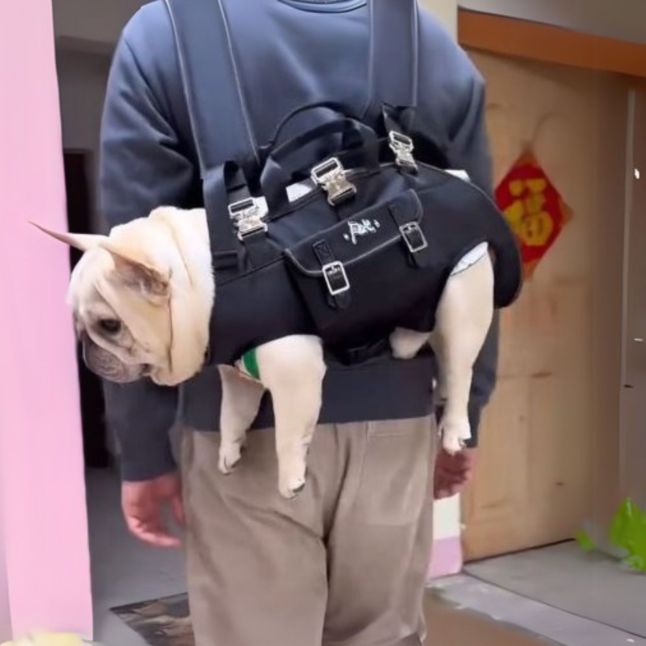 Frenchie Backpack Frenchie Shop : French Bulldog Harnesses, Clothes, Apparel & more ...