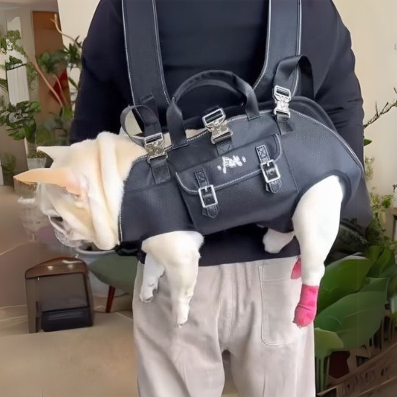 Frenchie Backpack Frenchie Shop : French Bulldog Harnesses, Clothes, Apparel & more ...