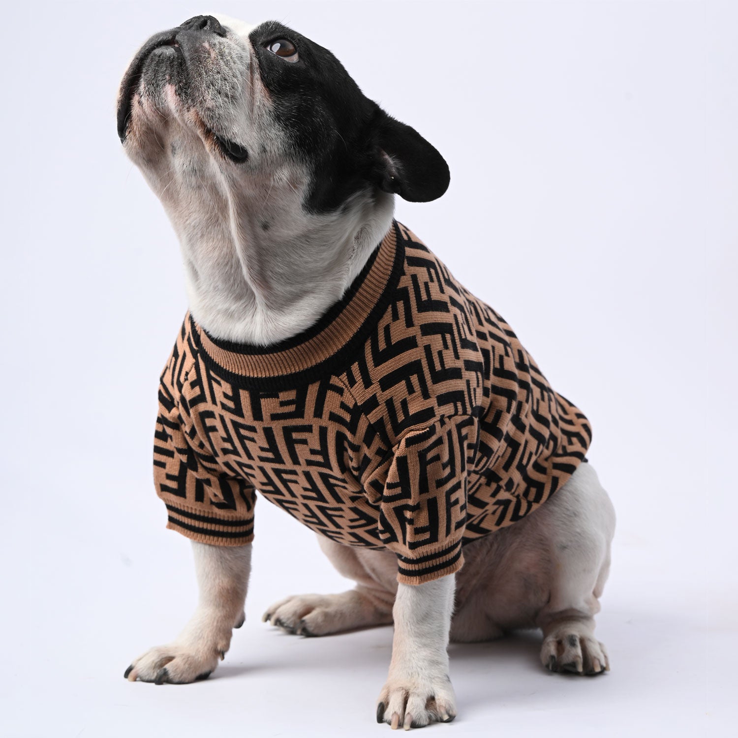 French Bulldog Clothes Collections frenchie Shop — free download