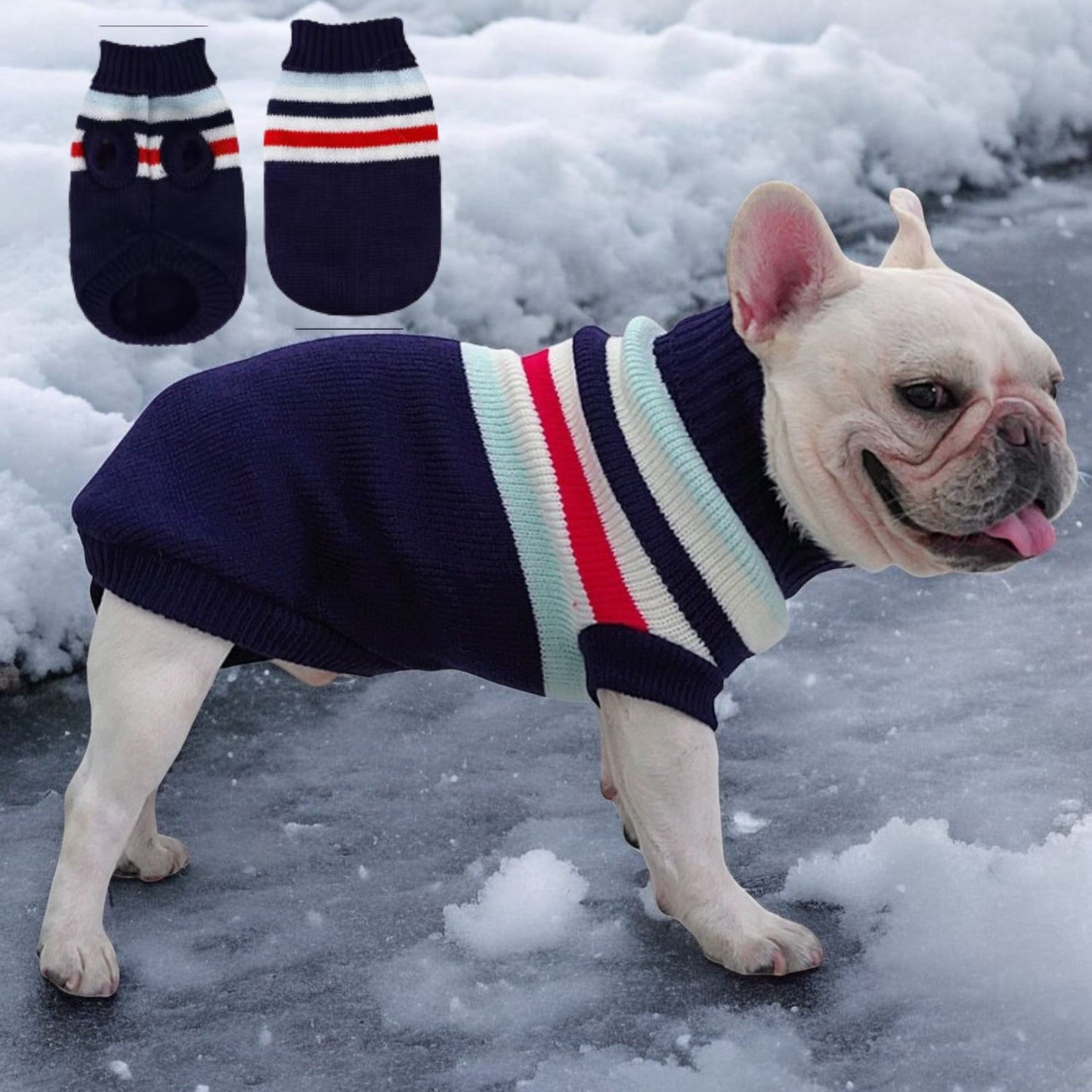 www.frenchie.shop-Festive-Frenchie-Christmas-Sweater