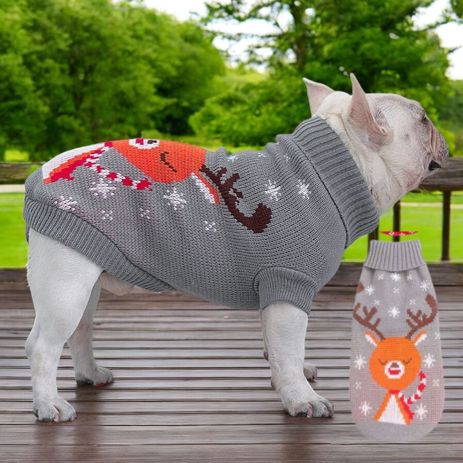 www.frenchie.shop-Festive-Frenchie-Christmas-Sweater