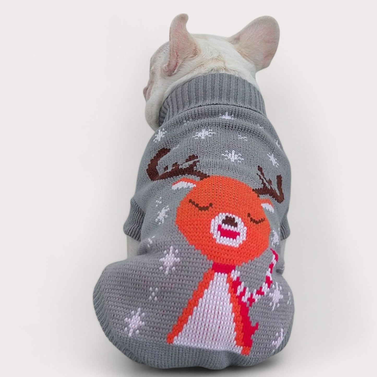 www.frenchie.shop-Festive-Frenchie-Christmas-Sweater