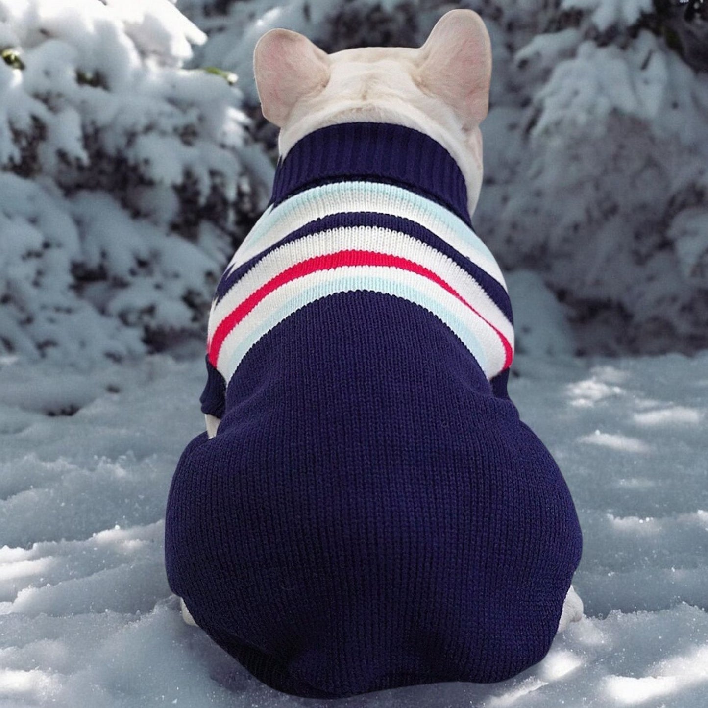 www.frenchie.shop-Festive-Frenchie-Christmas-Sweater