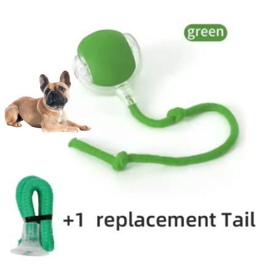 www.frenchie.shop-Interactive-Pet-Ball-Frenchie-Teaser-Automatic-Rolling-Toy-for-Endless-Fun