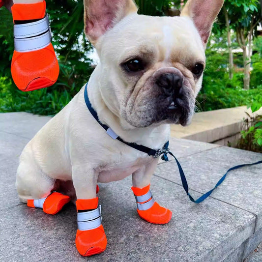 www.frenchie.shop-Lightweight-Mesh-Frenchie-Shoes
