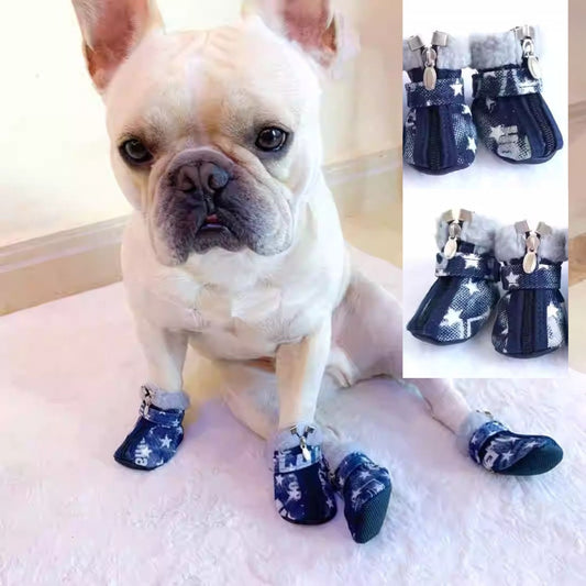 www.frenchie.shop-PawRover-Frenchie-Walking-Shoes