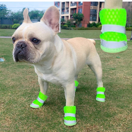 www.frenchie.shop-PupAir-Premium-Breathable-Frenchie Booties