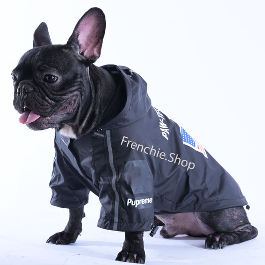 StylishPaw Raincoat [Black Edition] - Frenchie Bulldog Shop
