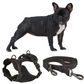 Frenchie Quick Release Harness Leash Set