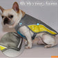 Coolify™ : Cooling Vest for Frenchie (CS13) - Frenchie Bulldog Shop