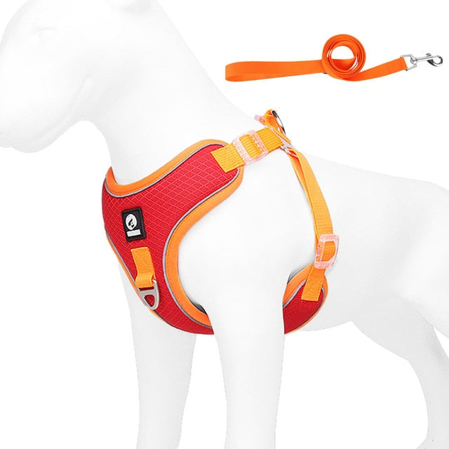 Frenchiekit™ - Adjustable Frenchie Harness Leash Set - Frenchie Bulldog Shop