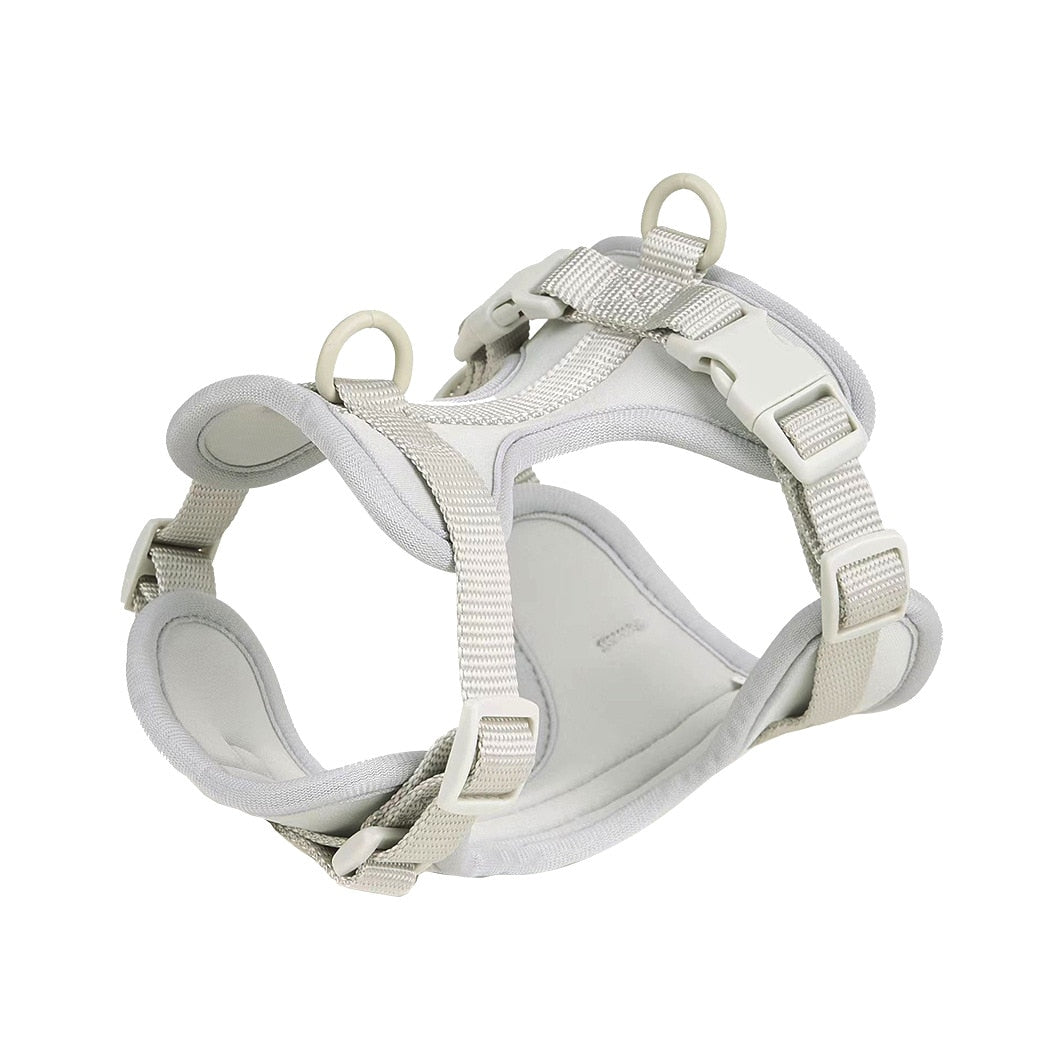 Adjustable Frenchie Harness and Lead