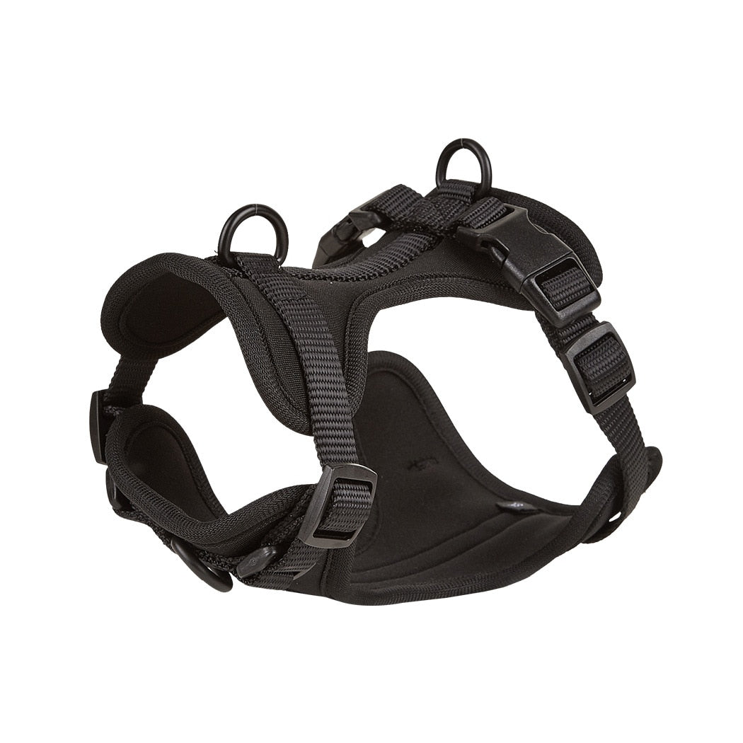 Adjustable Quick Release Frenchie Harness and Lead