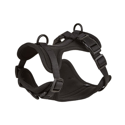 Adjustable Quick Release Frenchie Harness and Lead