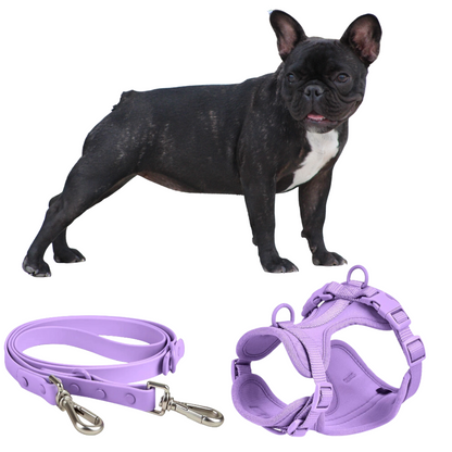 B-3leash_harness set