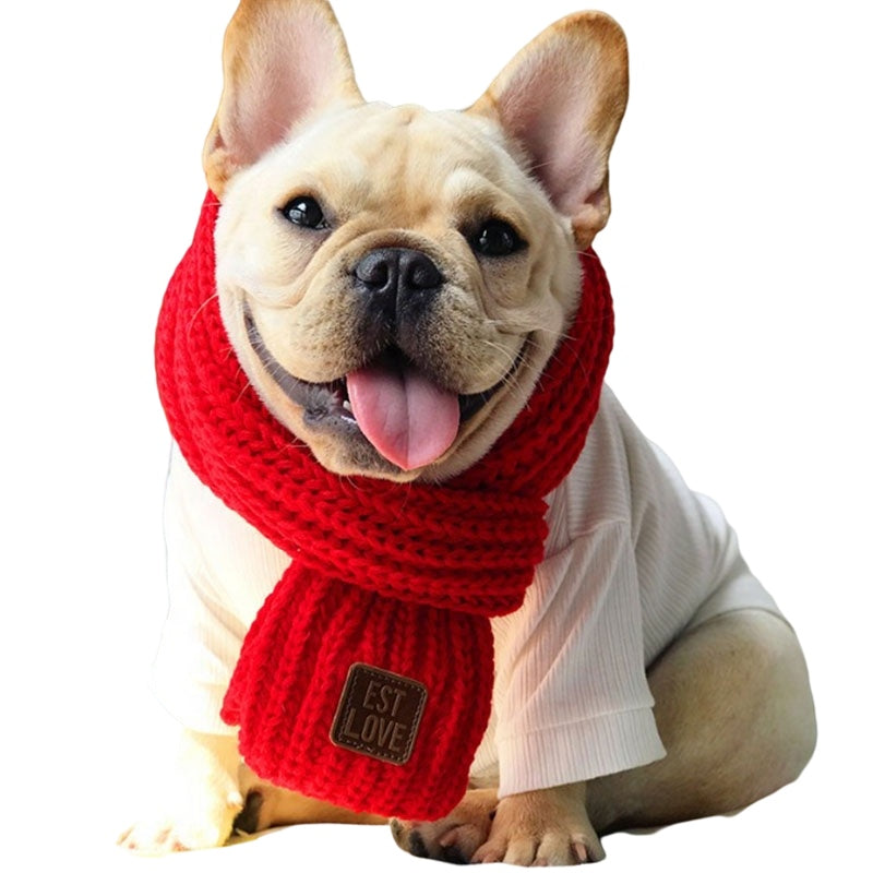 Winter Scarf for French Bulldog - Frenchie Bulldog Shop