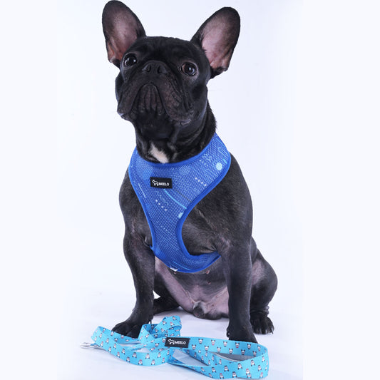 BlueHarmony - Frenchie Harness By MeeLo - Frenchie Bulldog Shop
