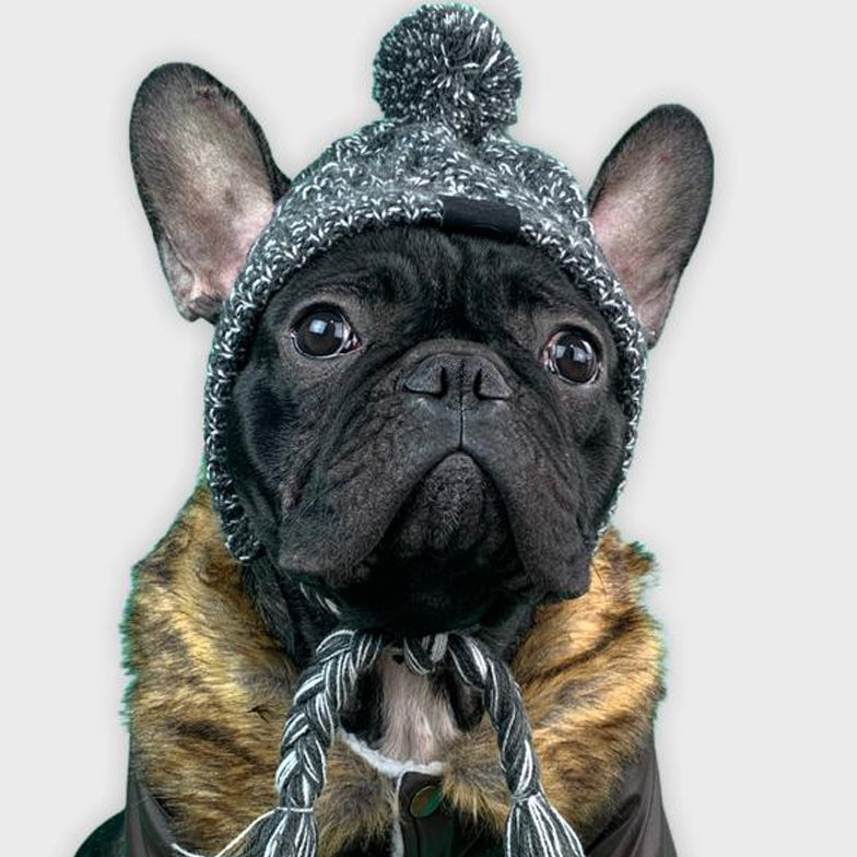 Windproof Woolen Winter Cap for French Bulldog (WS312) - Frenchie Bulldog Shop