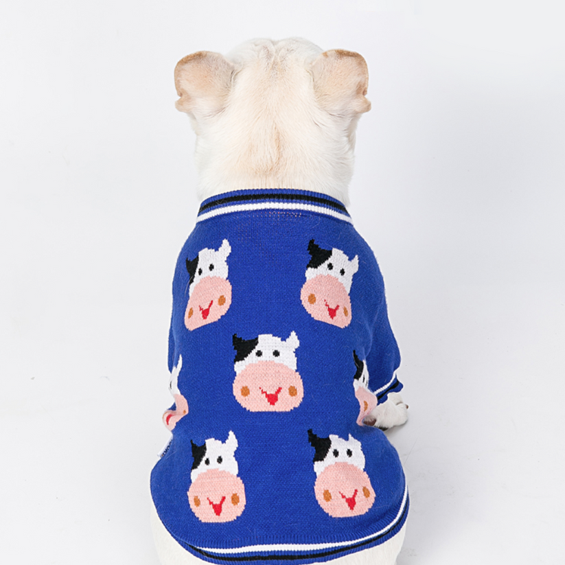 Winter Sweater for French Bulldog