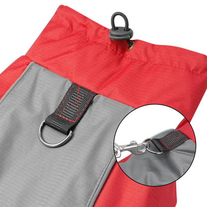 Cold weather dog outfit