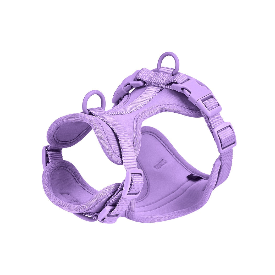 Comfortable Frenchie Dog Harness and Leash Combo