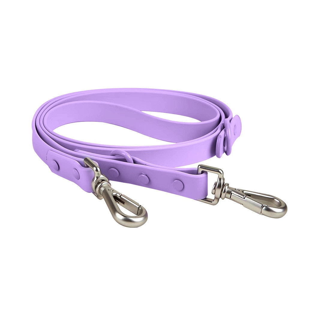 Comfortable Frenchie Harness and Leash Combo