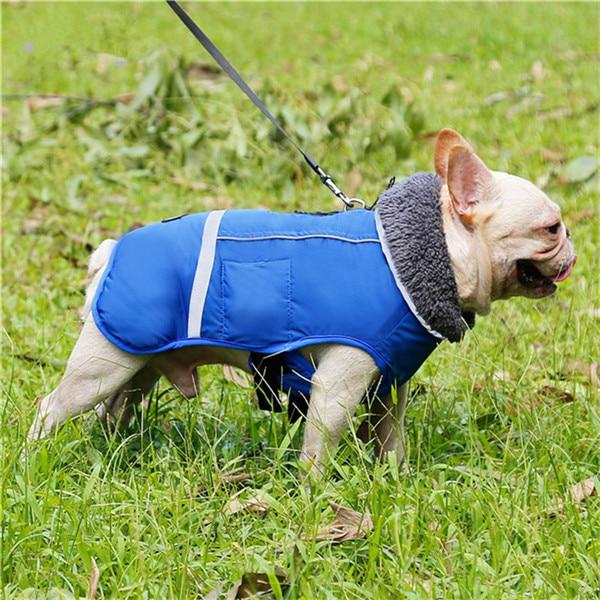 Cozy French Bulldog jacket
