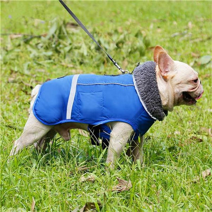 Cozy French Bulldog jacket