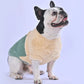 Stylia™ - Frenchie Stylish Sweater (WL06) - Frenchie Bulldog Shop