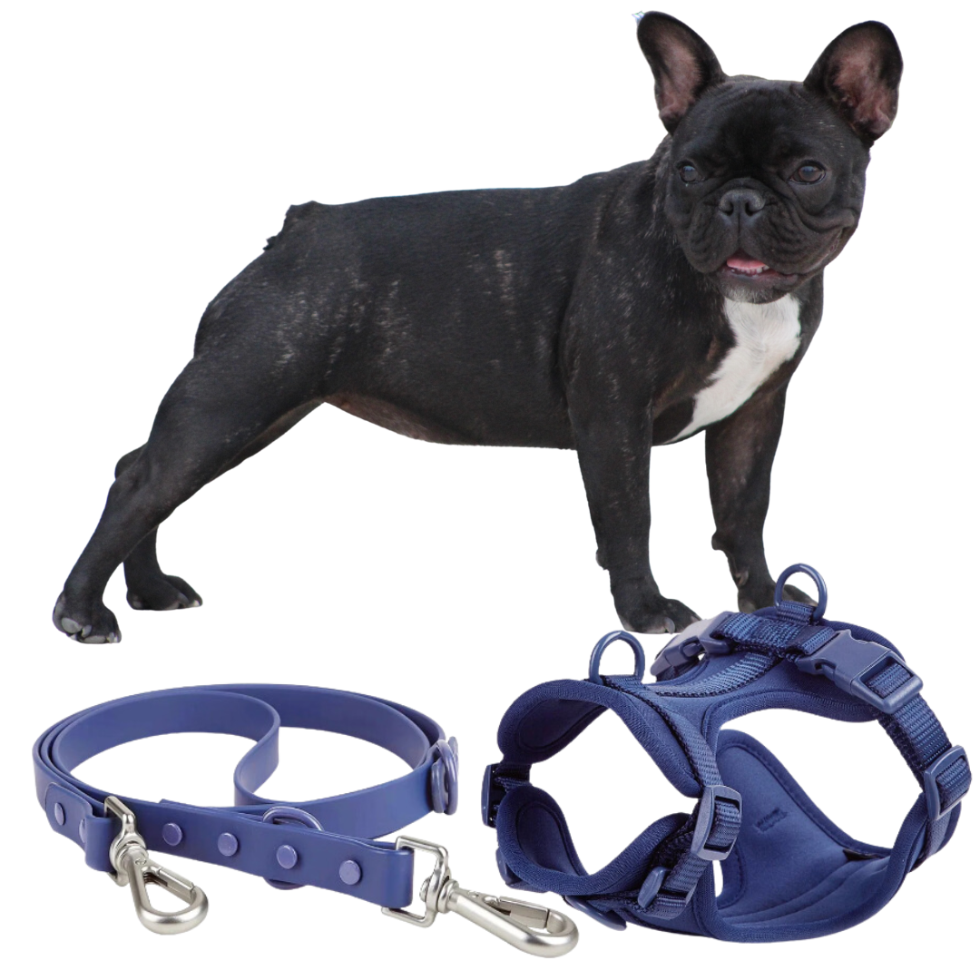 Frenchie Quick Release Harness Leash Set - Frenchie shop