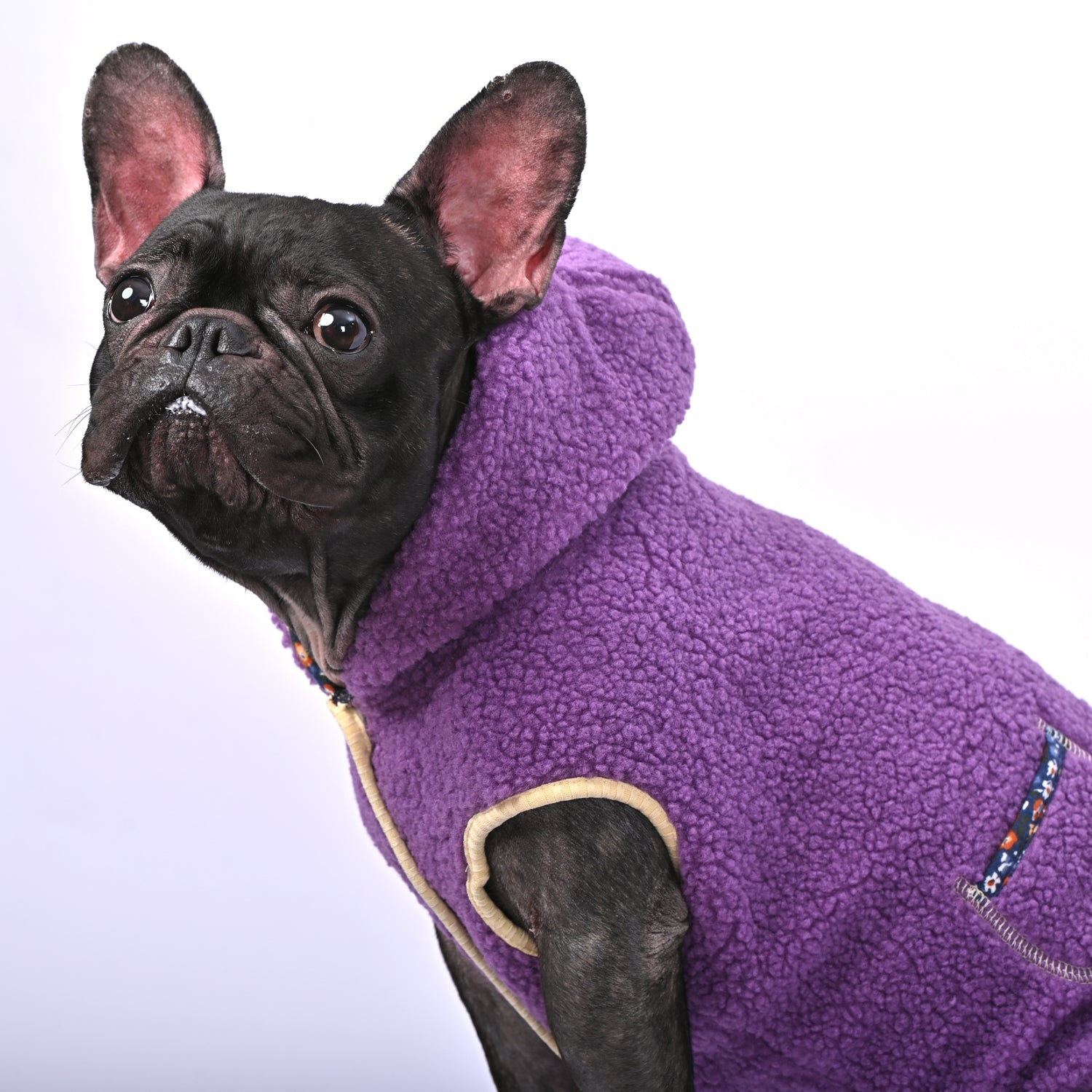 Bulldog Blizzard - Warm Fleece Hooded Frenchie Winter cloth V1 - French Bulldog Shop