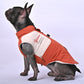 Frostbite Outfit - Frenchie Winter Jacket With Harness Set V1 - French Bulldog Shop