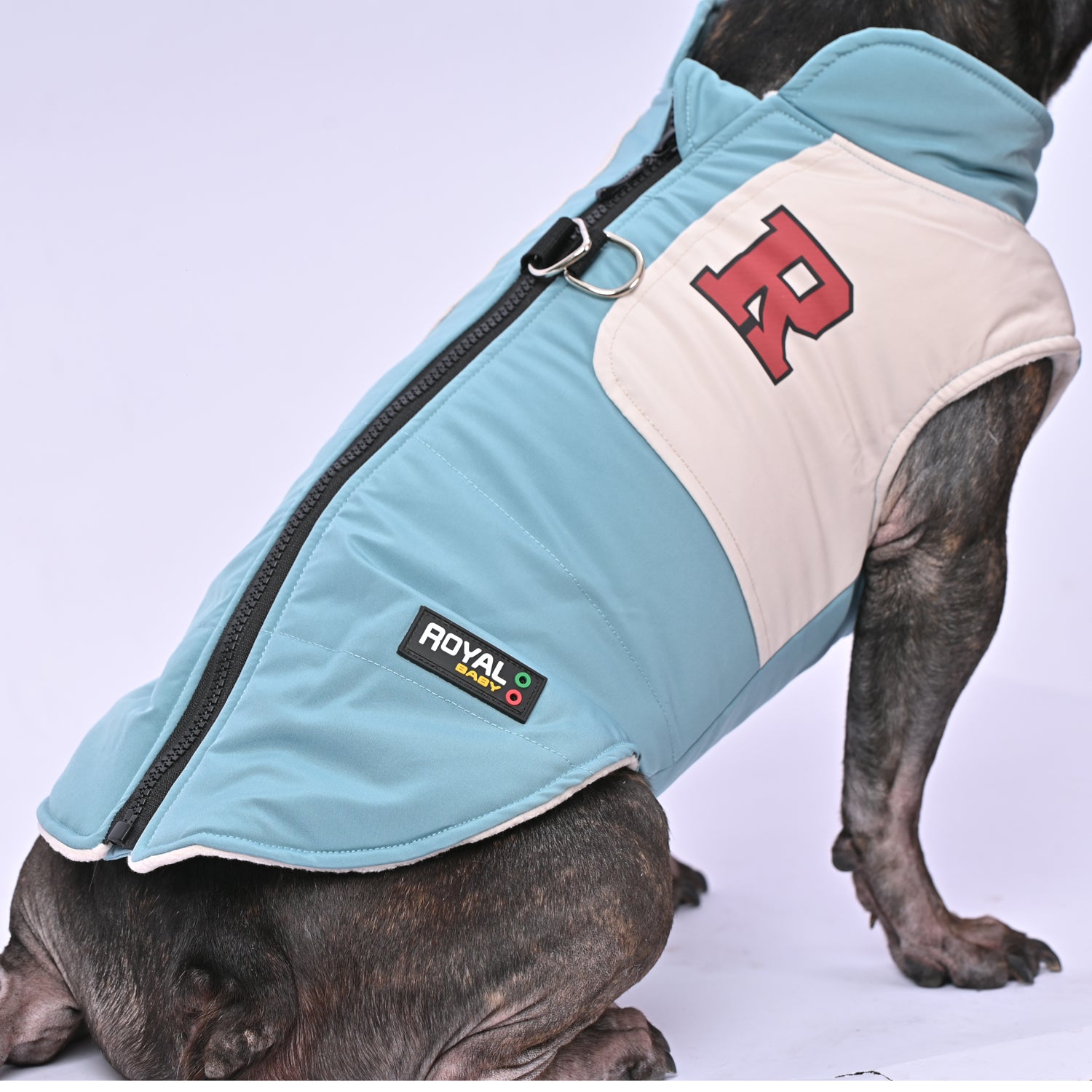 Frostbite Outfit - Frenchie Winter Jacket With Harness Set V2 - French Bulldog Shop