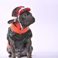 Snowy Snuggles Frenchie Warm Reflective Winter Jacket V1 - French Bulldog Shop