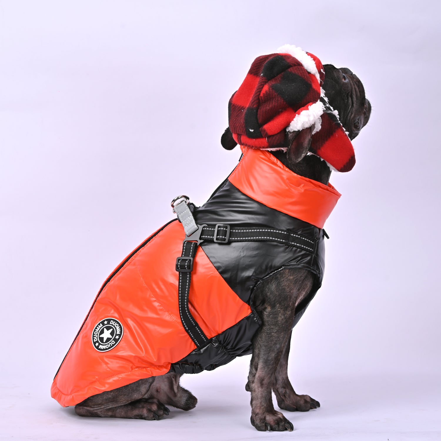 Snowy Snuggles Frenchie Warm Reflective Winter Jacket V1 - French Bulldog Shop