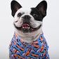 B Print - Warm French Bulldog Hoodie for Winter (WJ01) - Frenchie Bulldog Shop